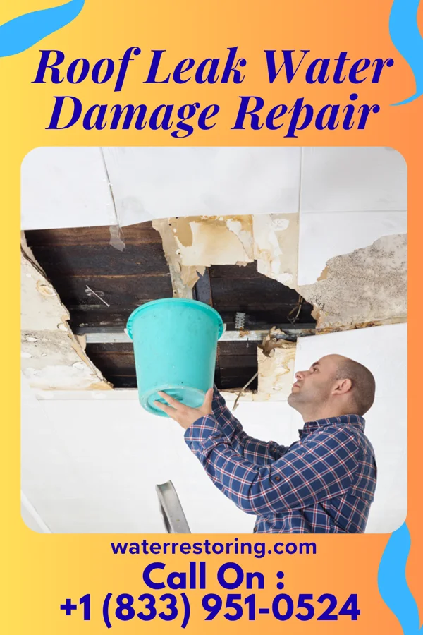Roof Leak Water Damage Repair in McCullom Lake, IL